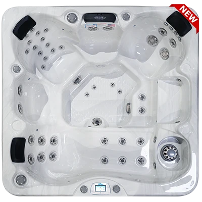 Avalon-X EC-849LX hot tubs for sale in Peabody